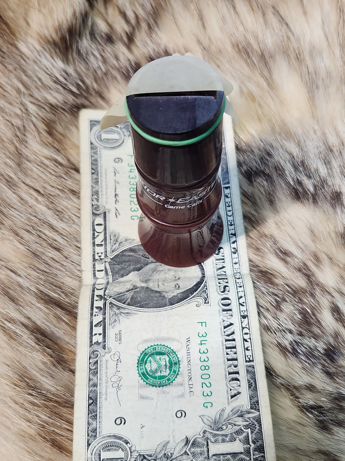 Turkey tube call