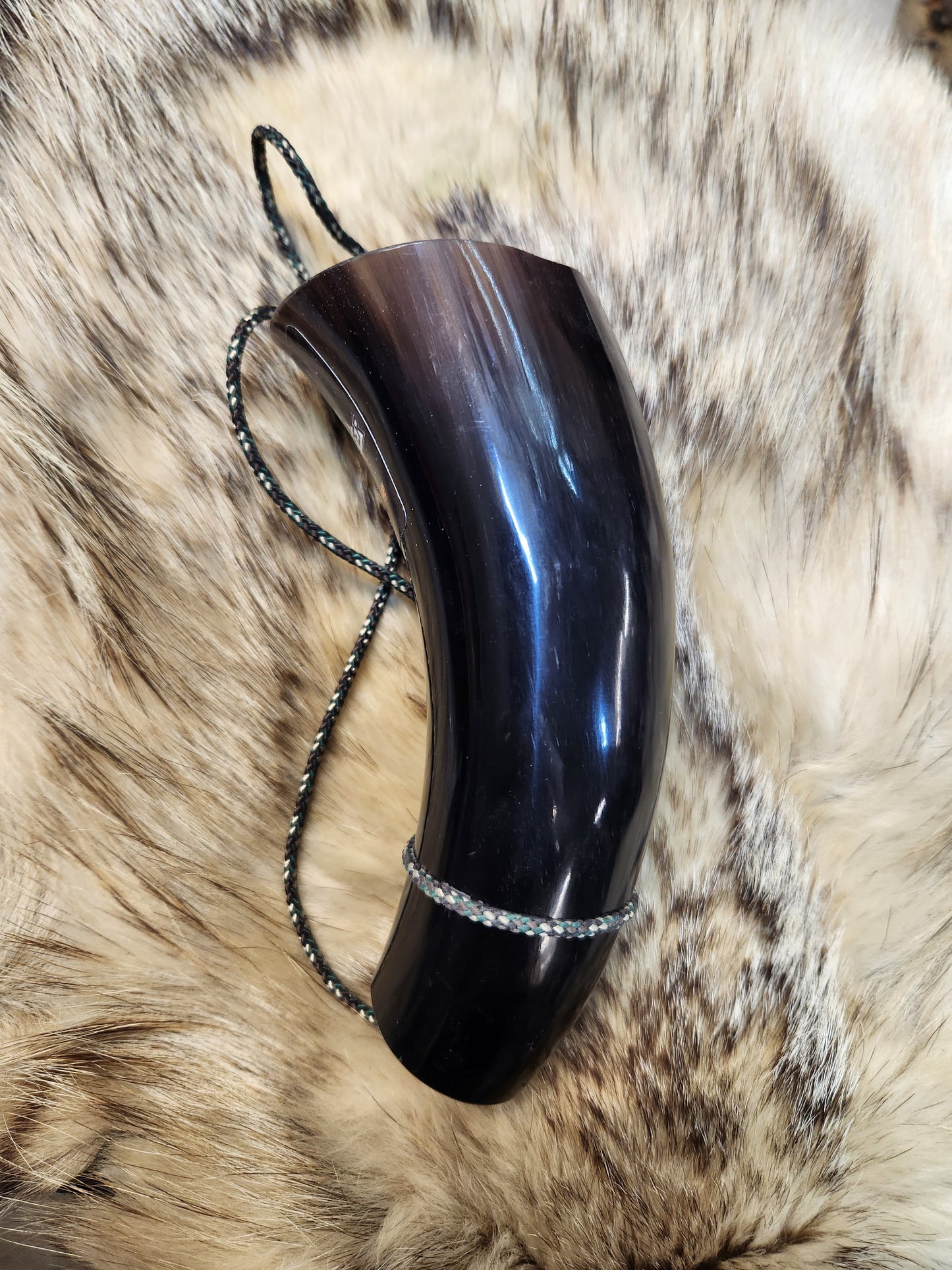 Buffalo horn coyote howler amp