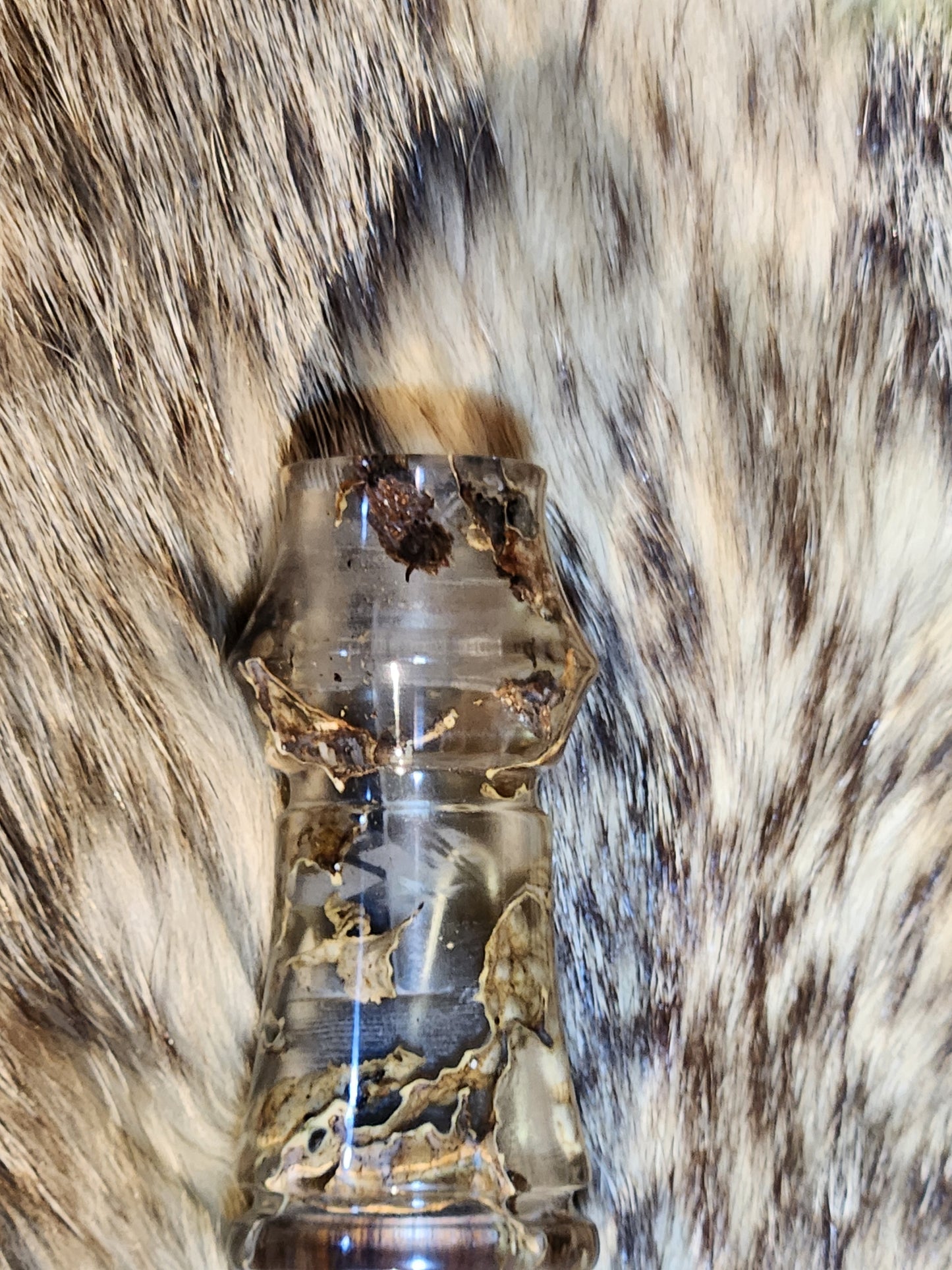 Maple tree moss in resin adjustable deer grunt call