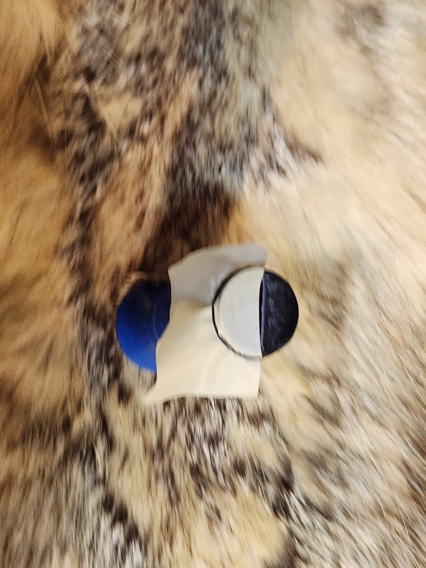 Turkey tube call