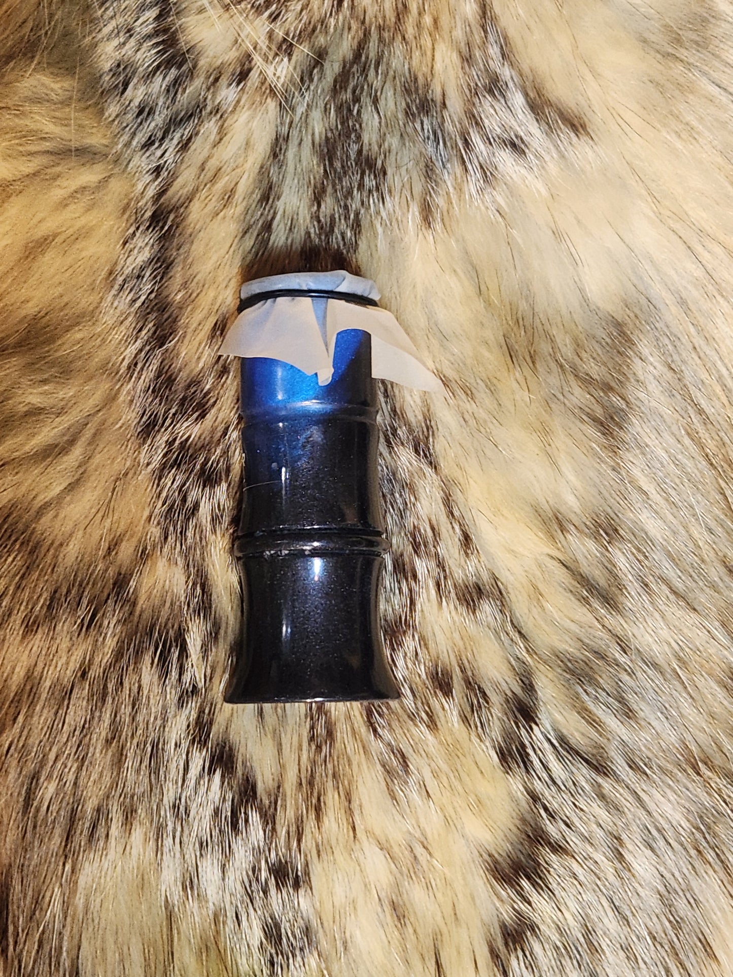 Turkey tube call