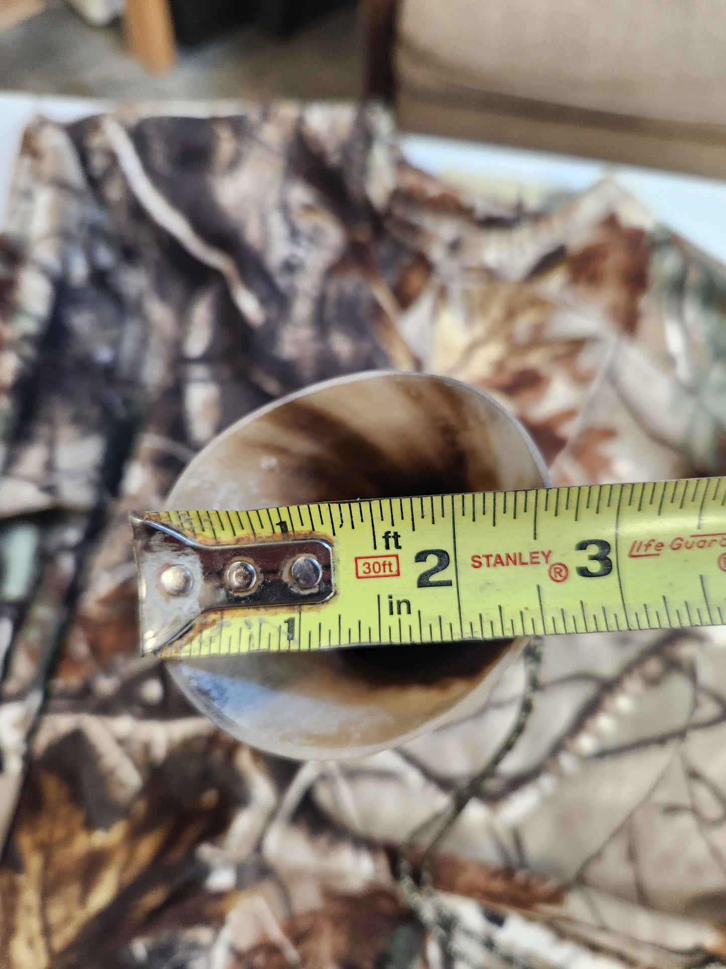 Open reed polished bull horn coyote howler