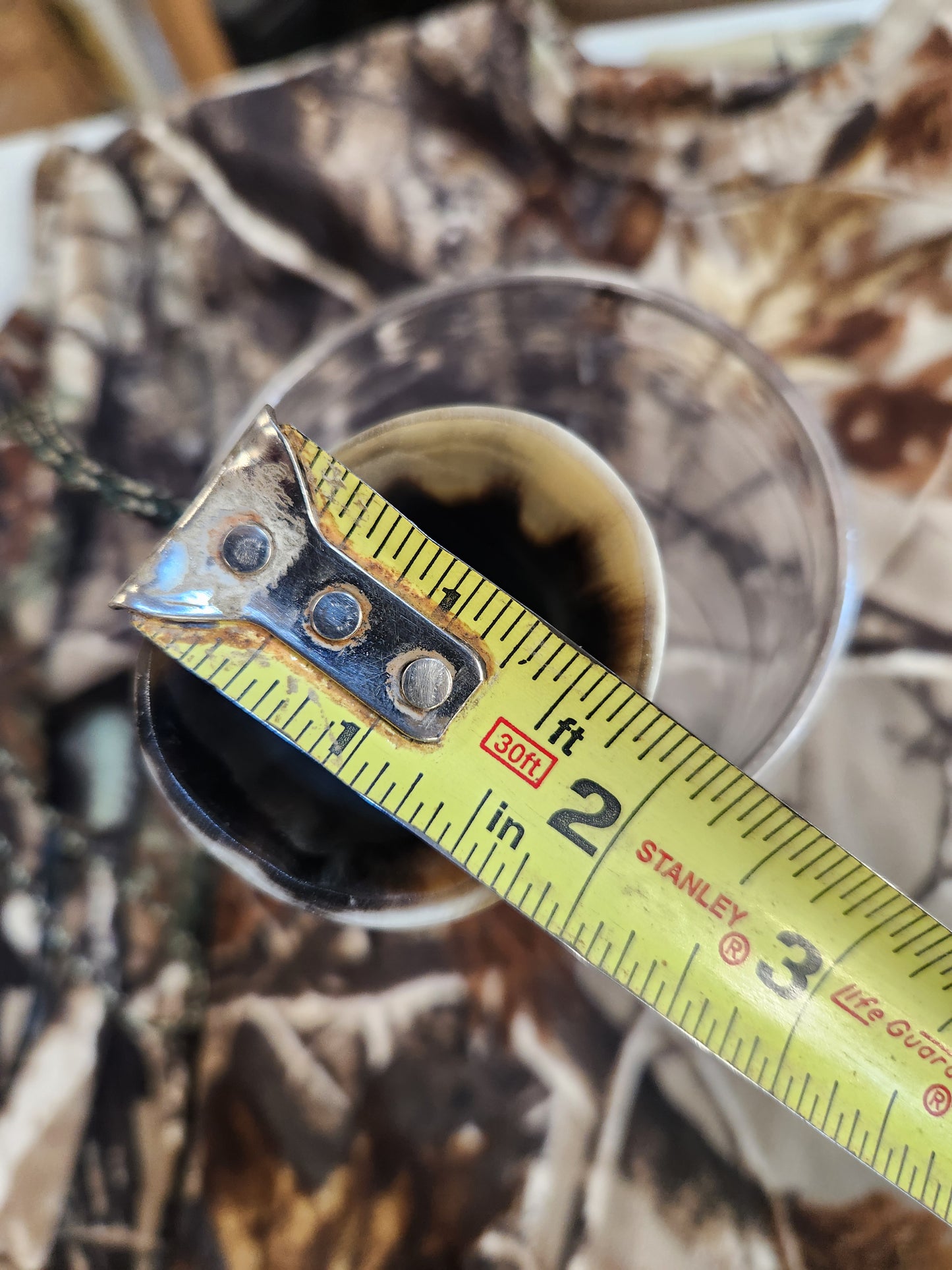 Open reed polished bull horn coyote howler