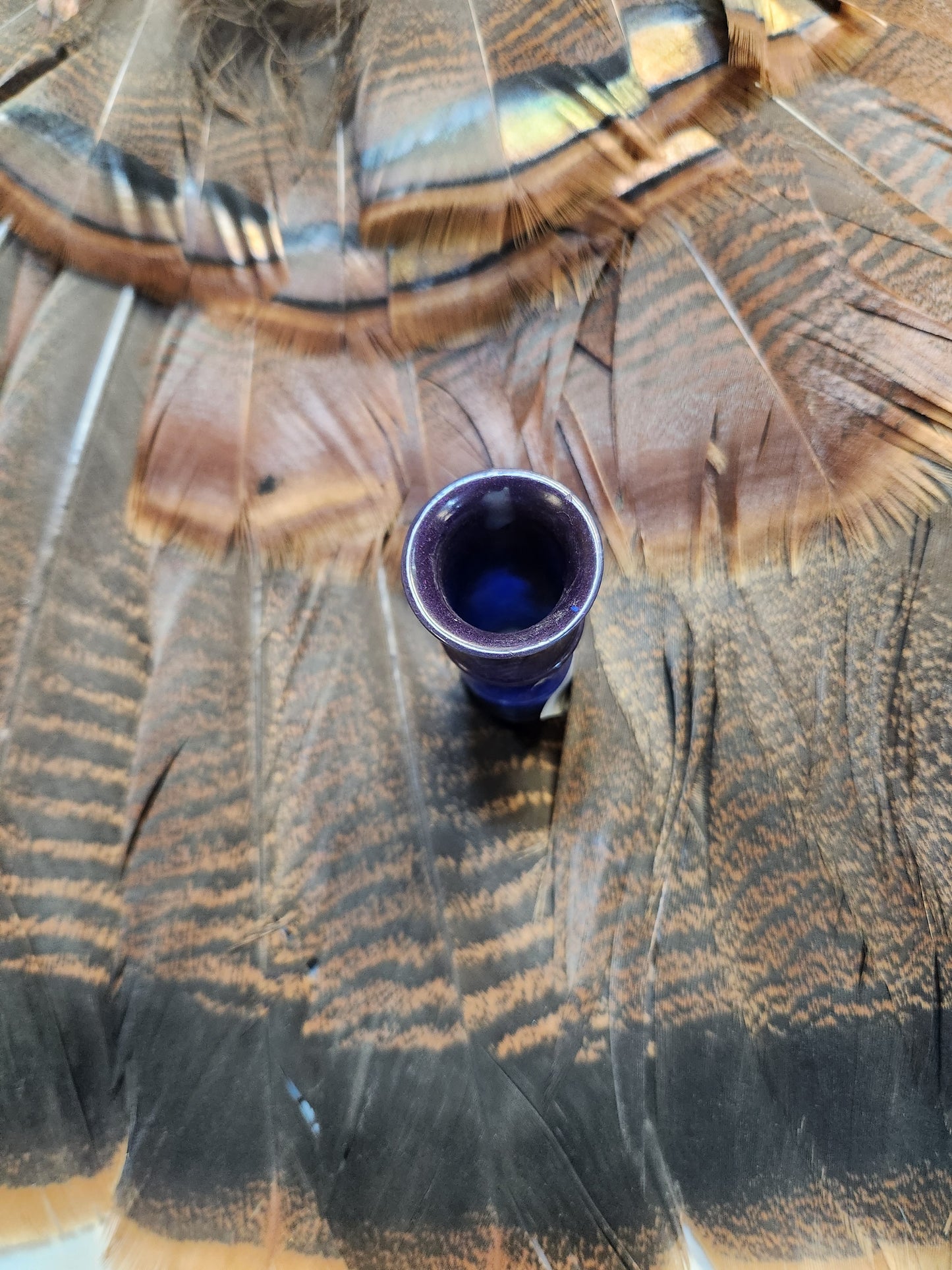 Turkey tube call