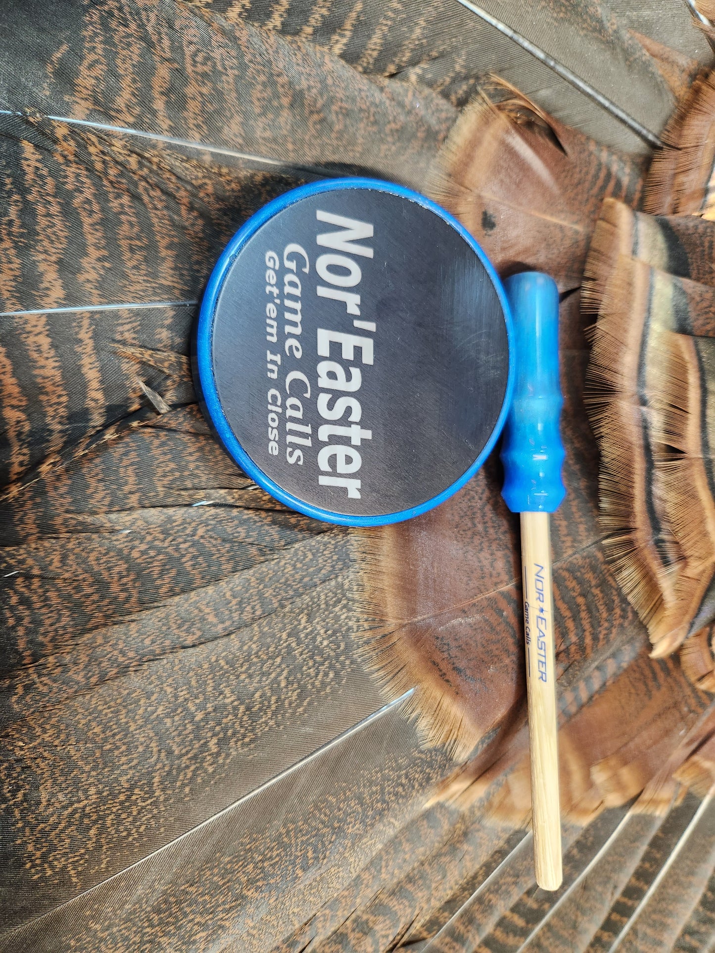Blue grey Windbreaker turkey pot call