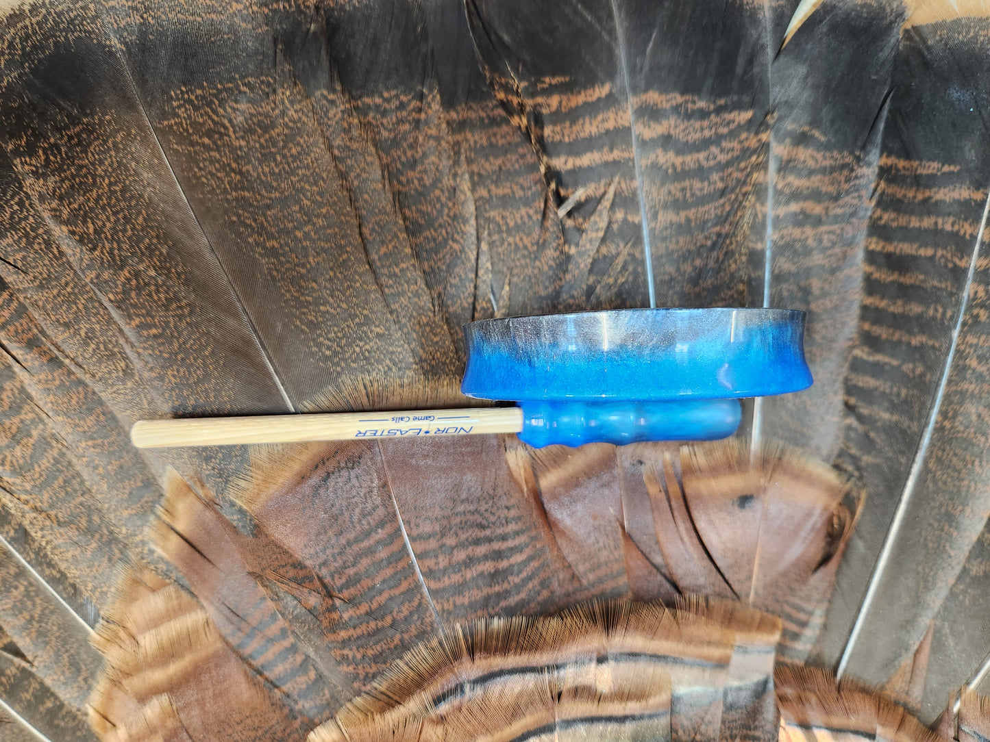 Blue grey Windbreaker turkey pot call