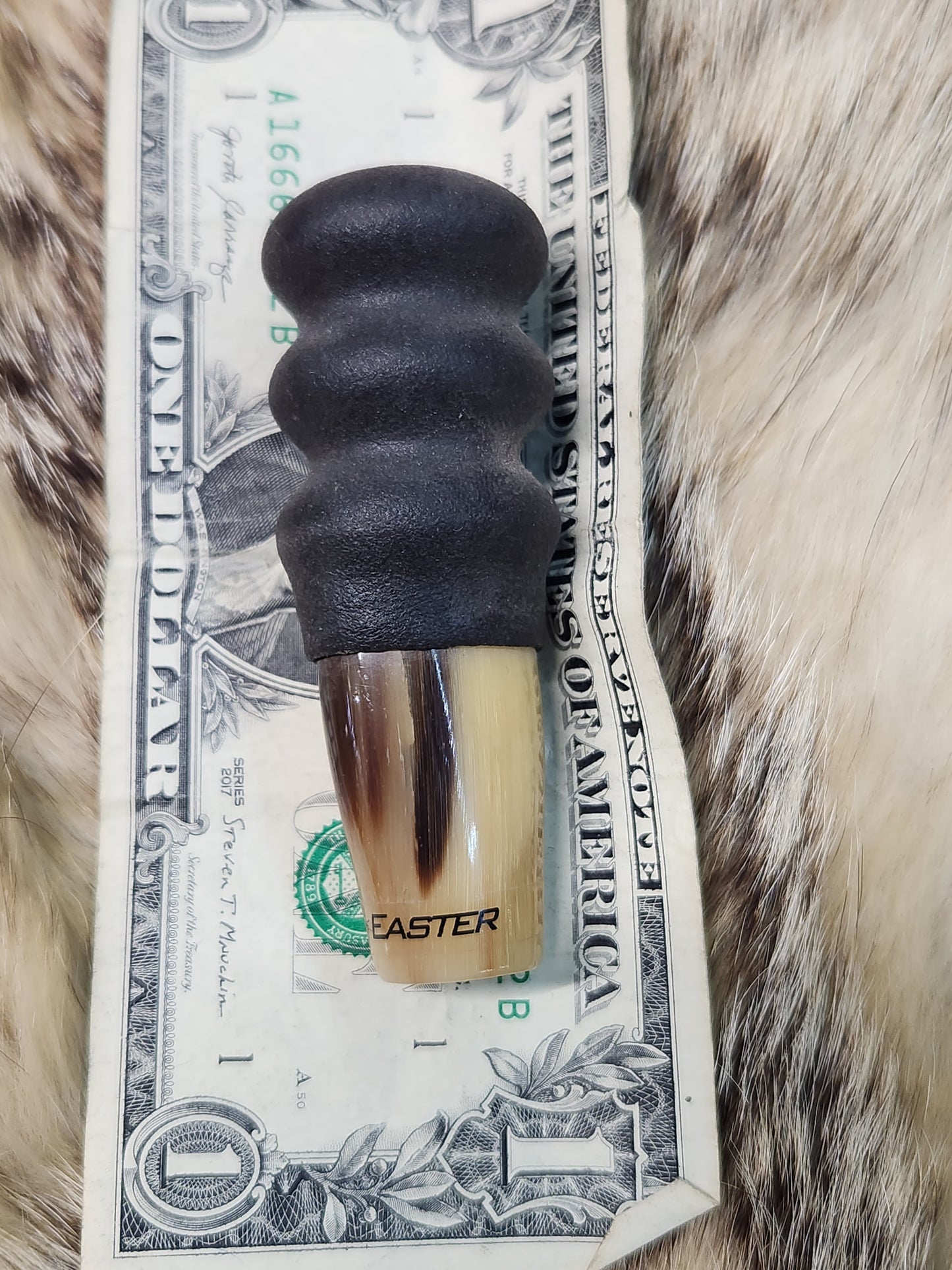 water buffalo horn red squirrel call