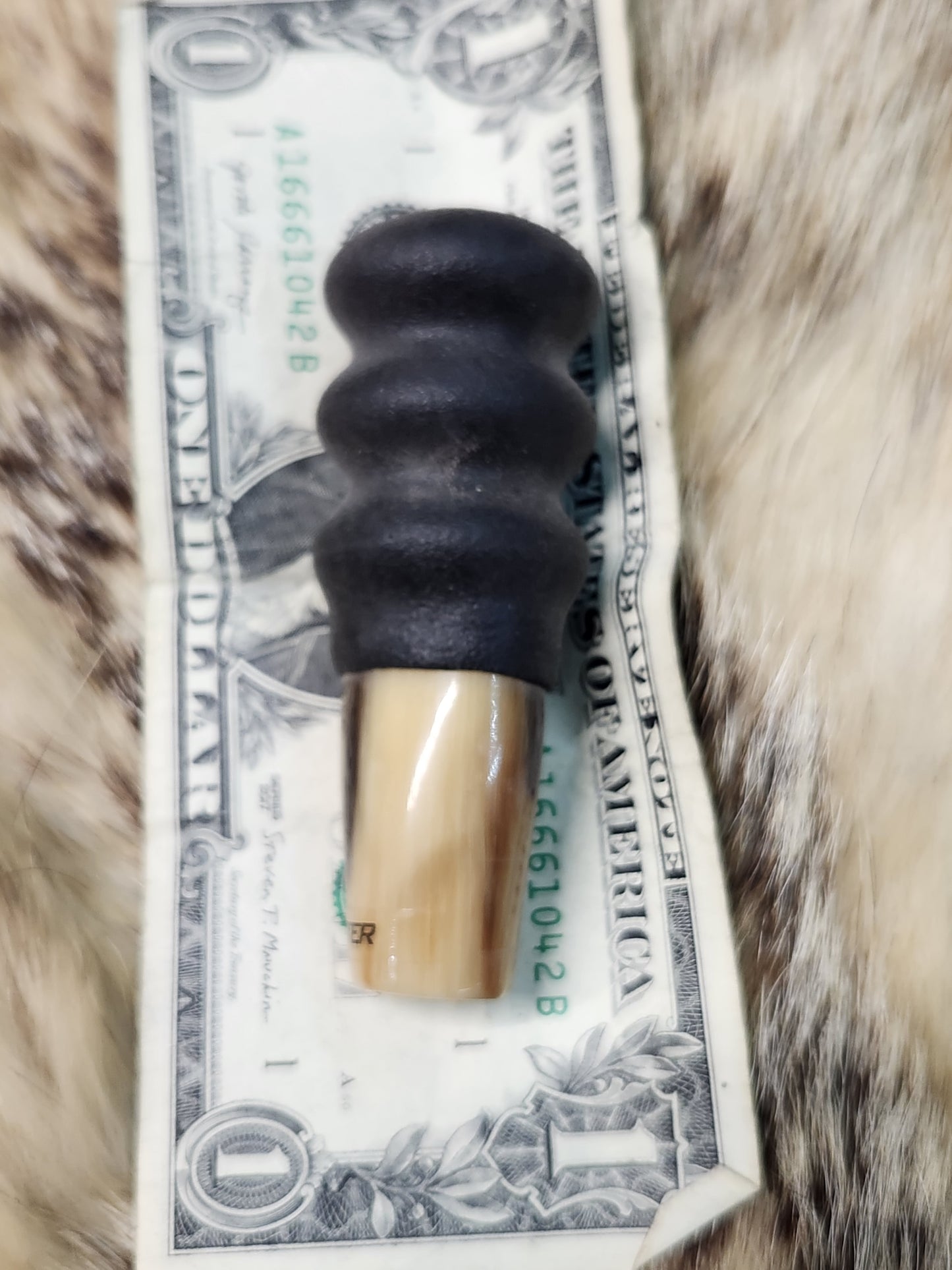 water buffalo horn red squirrel call