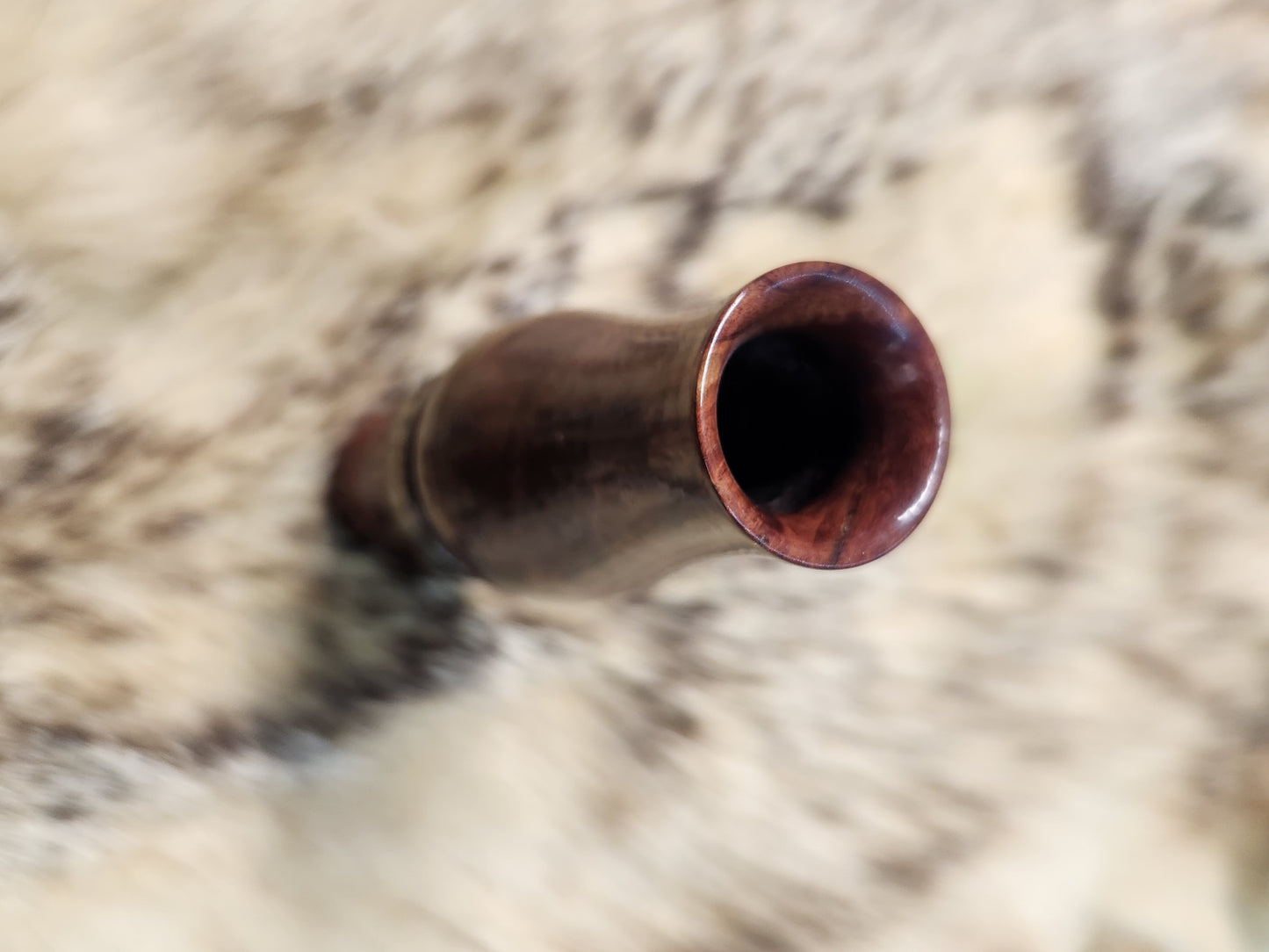 Australian Red Mallee Double Reed Duck Call
