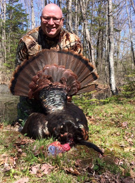 Bow Turkey