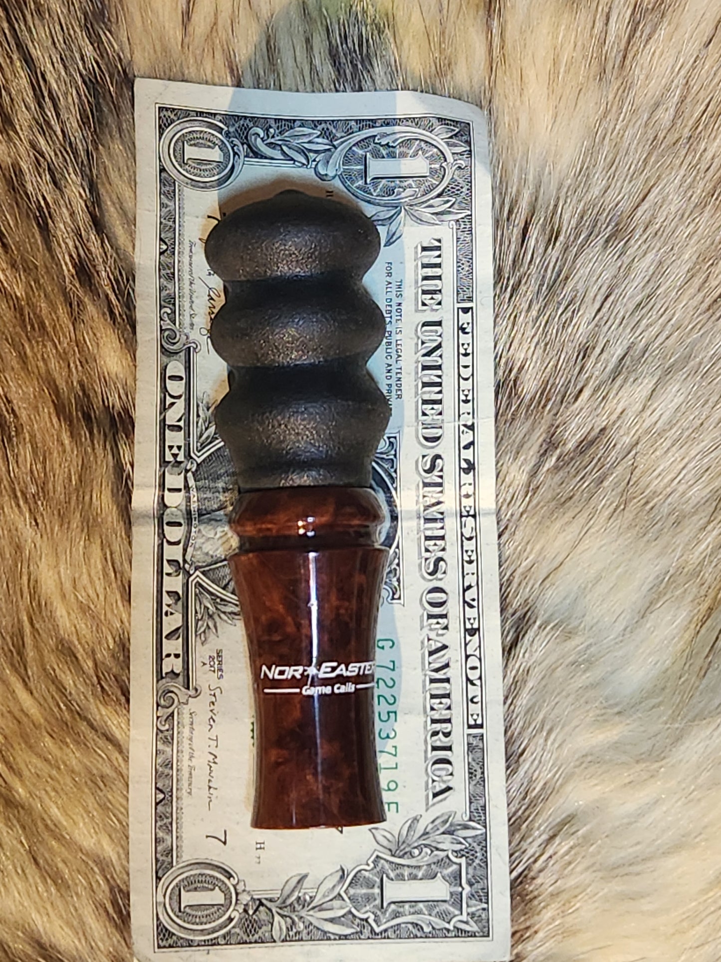 Redwood lace burl squirrel call