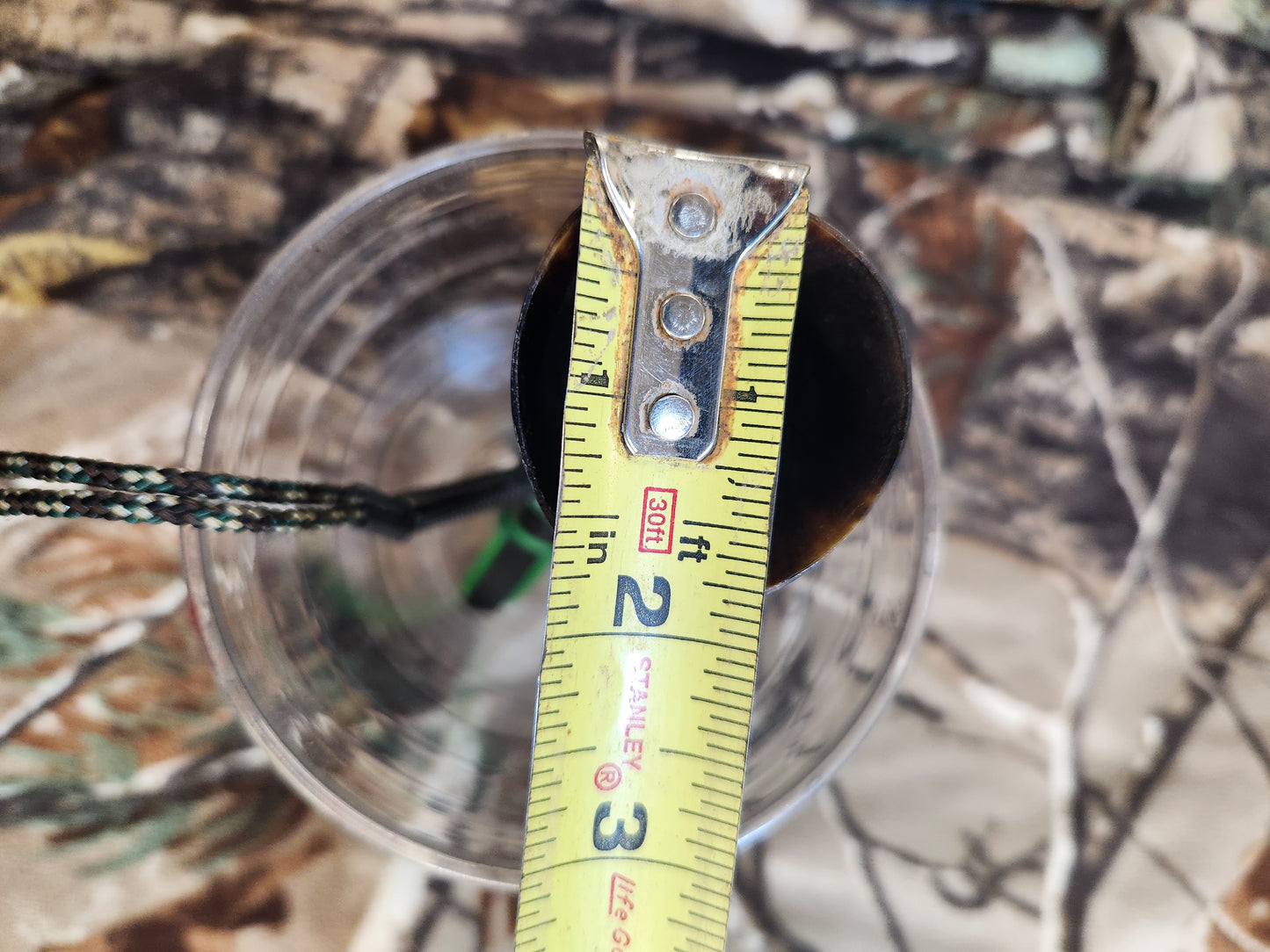 Open reed polished bull horn coyote howler