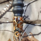 Red Squirrel call made from beechnut husks in resin