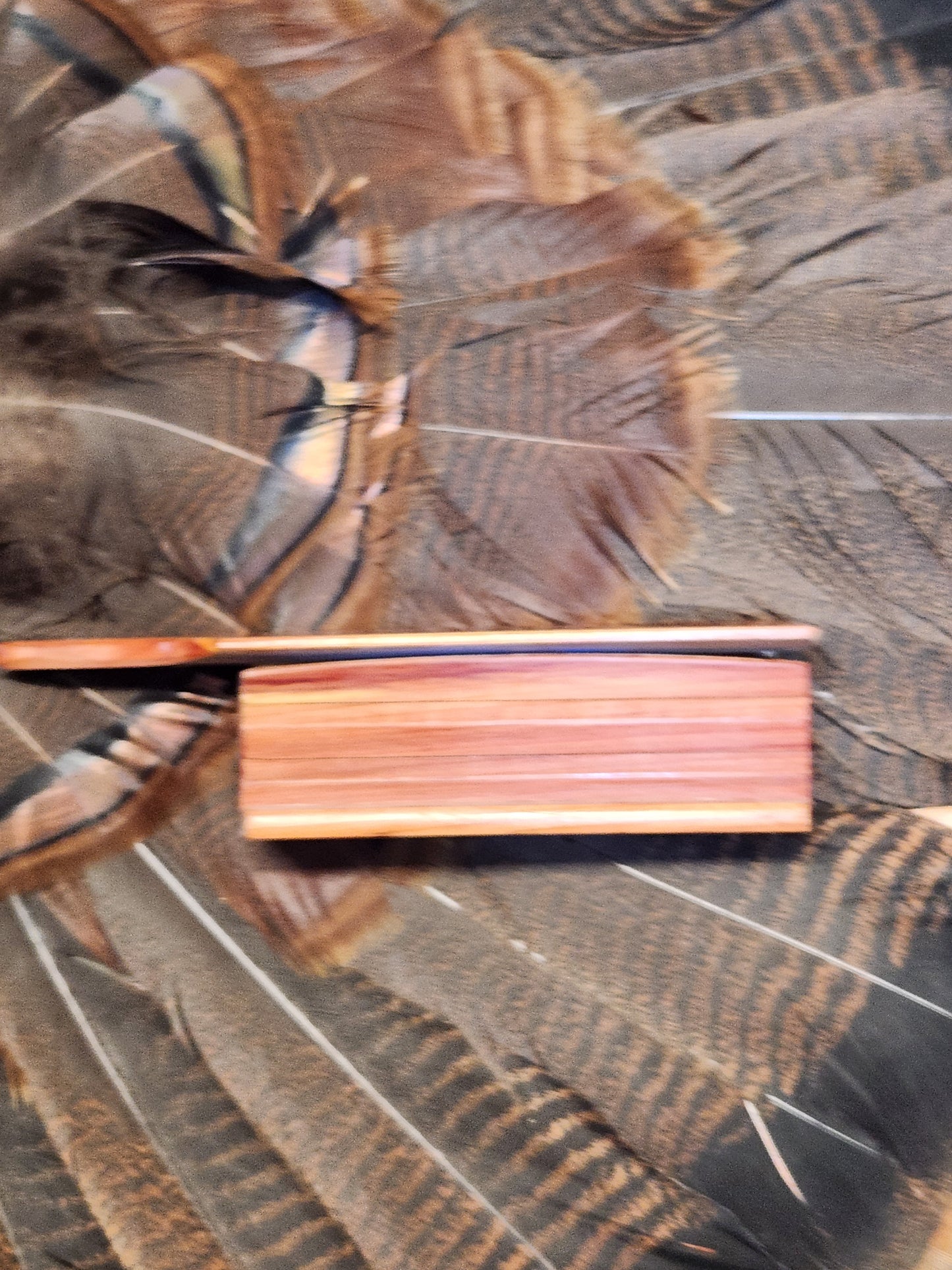 XL Cedar Swamp Clucka double-sided playing Boxcall