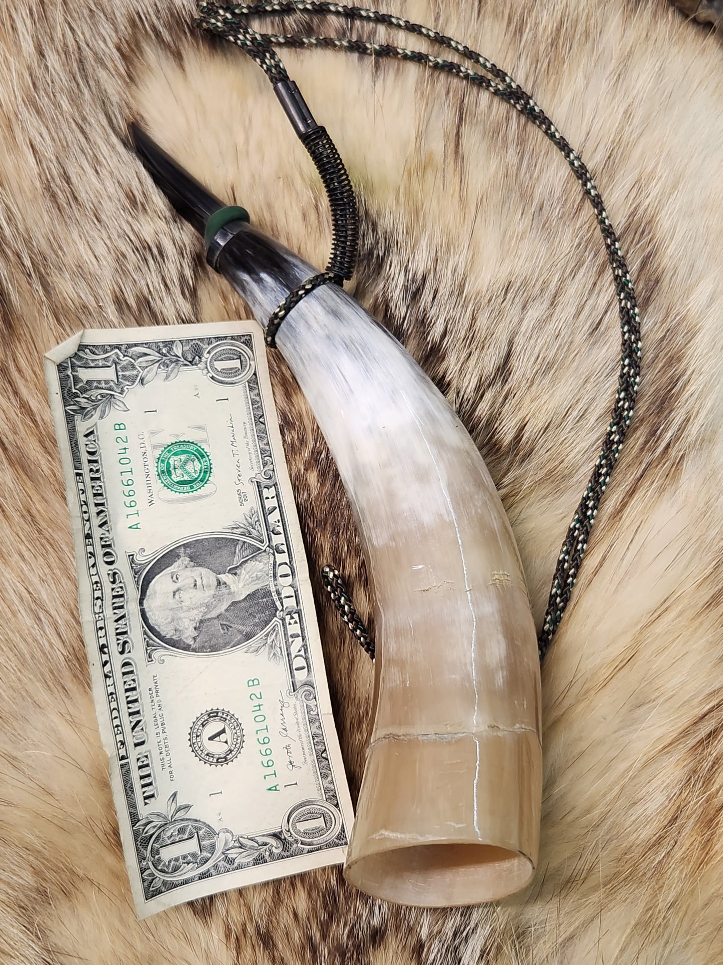 Open Reed Polished Bull Horn Alpha Male Coyote Howler,