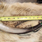 Open reed polished bull horn coyote howler