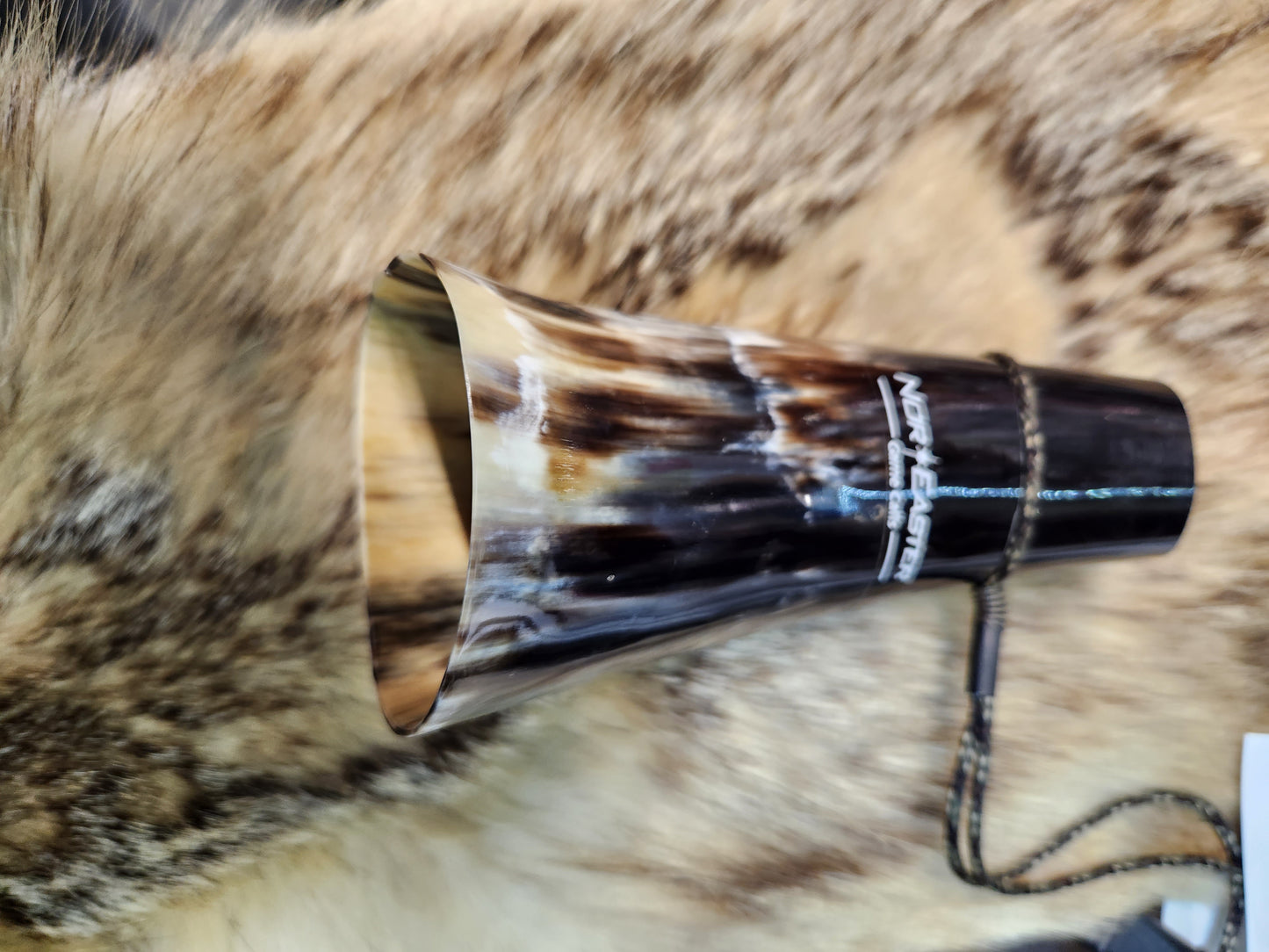 Buffalo horn coyote howler amp