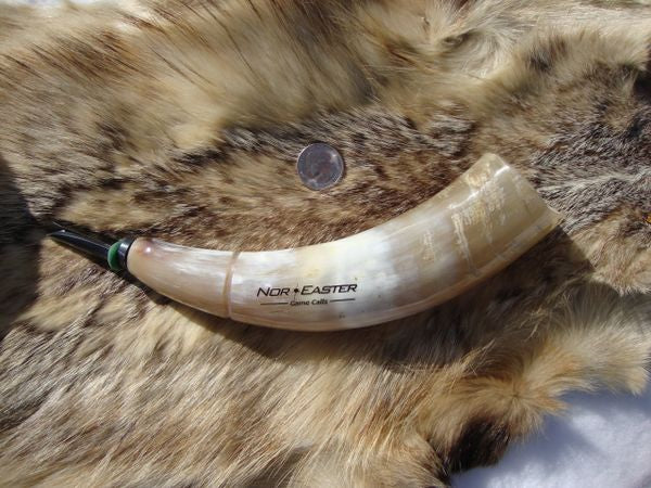 Polished Bull Horn Open Reed Alpha Male Coyote Howler,