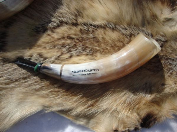 Polished Bull Horn Alpha Male Coyote Howler, open reed call