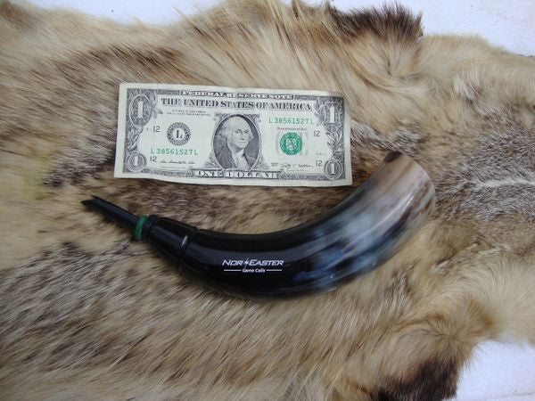 Polished Bull Horn Alpha Male Coyote Howler, open reed