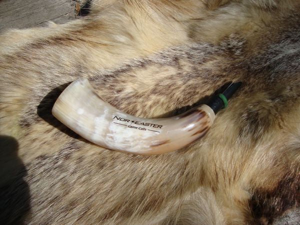 Alpha Male Coyote Howler, Polished Bull Horn open reed